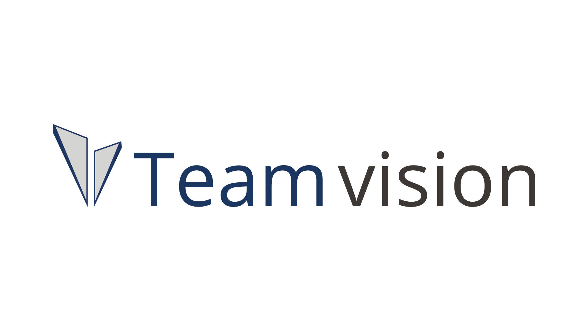 Team vision