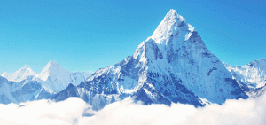 Nuevo reconocimiento de Everest Group para Sitel .