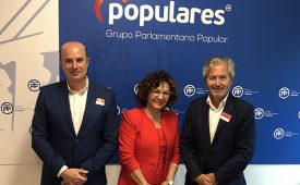 Apoyo PP apoyo de los grupos
